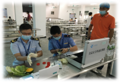 30分钟“揪出”粮食隐患！梅安智检“谷链检”守